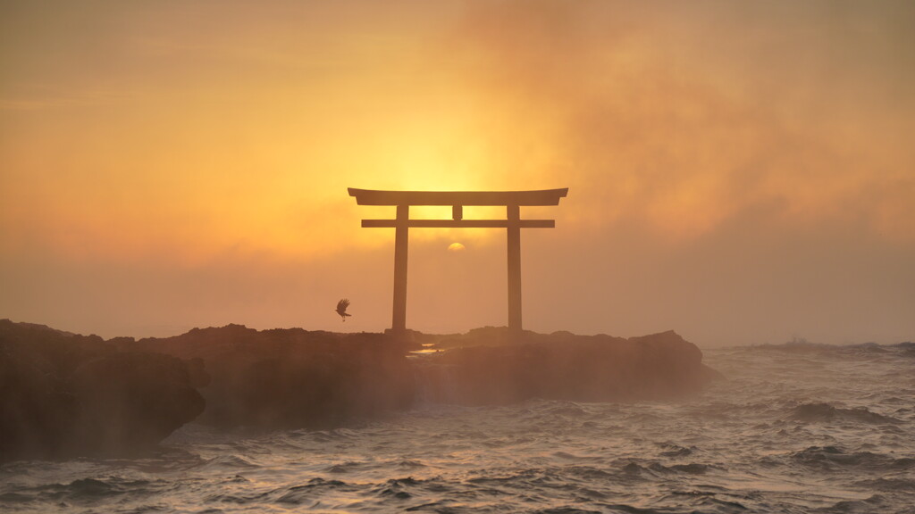 霧中朝日