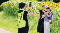 Staff