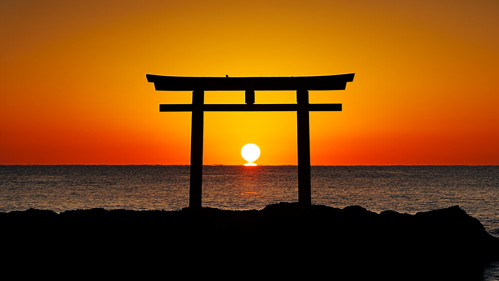 だるま朝日
