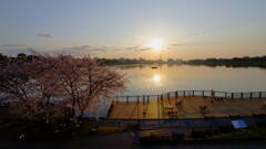 湖畔の朝陽
