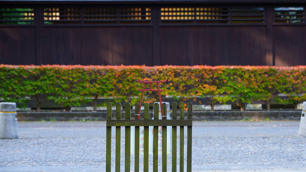 小さな鳥居