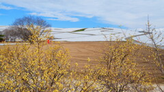 みはらしの丘；冬