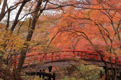 河鹿橋