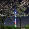 夜桜とスカイツリー