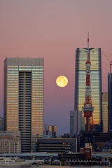 狼月の夜明け③