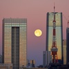 狼月の夜明け③