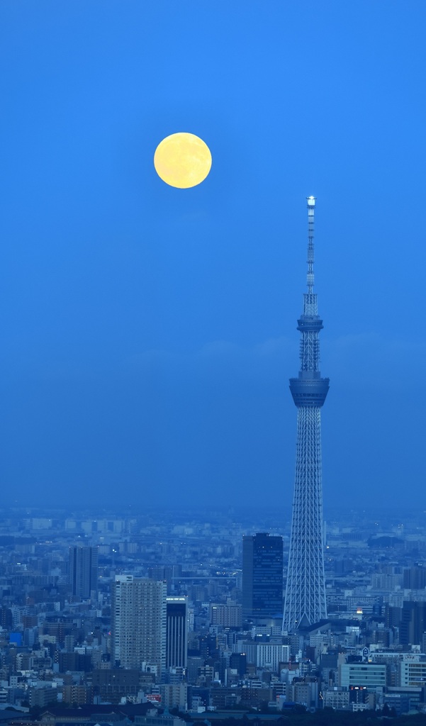 真上に・・・(TT)
