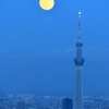 真上に・・・(TT)