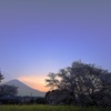 夜明けの富士と狩宿の下馬桜