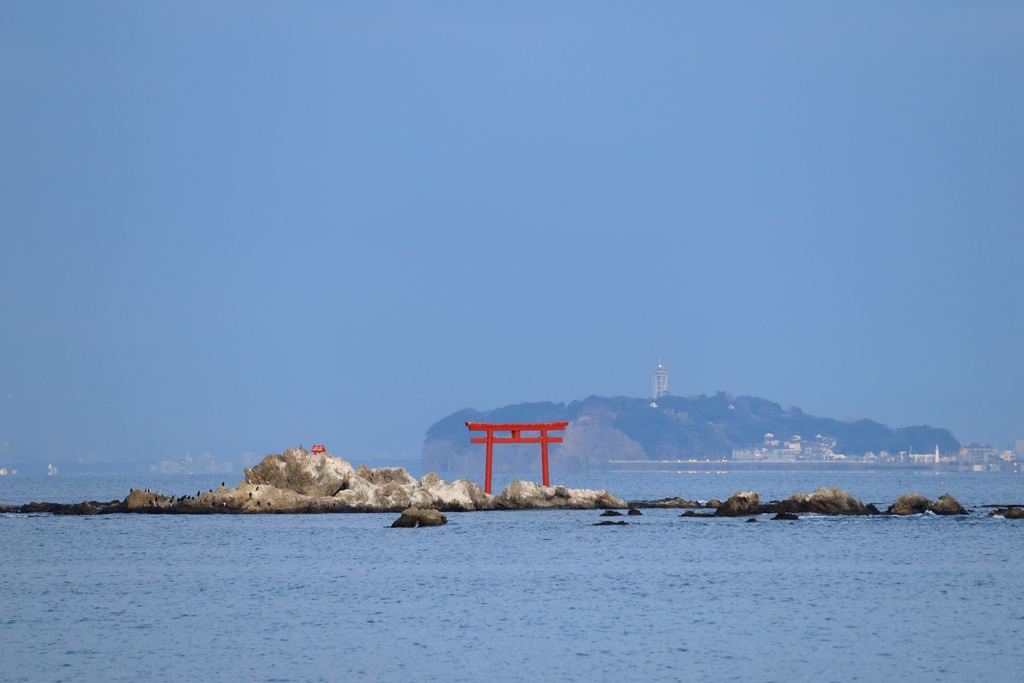 菜島の鳥居