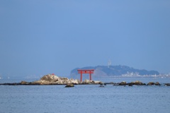菜島の鳥居