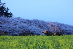 夜明けまえ①