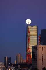 狼月の夜明け①