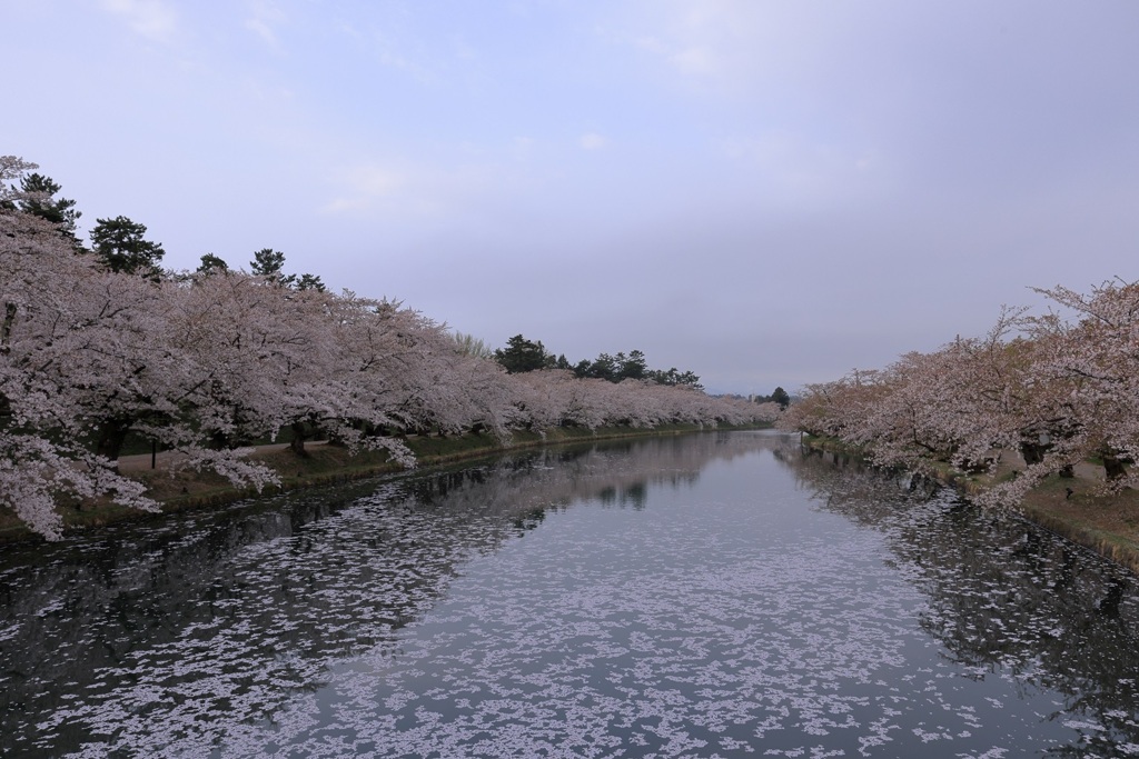 弘前公園より④