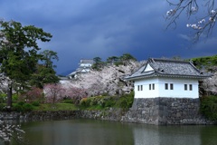 迫る雷雲