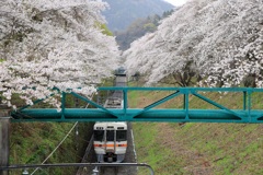 桜並木を抜けて②