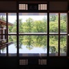 夏の床もみじ①