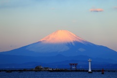富士と海