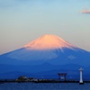富士と海