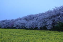 夜明けまえ②