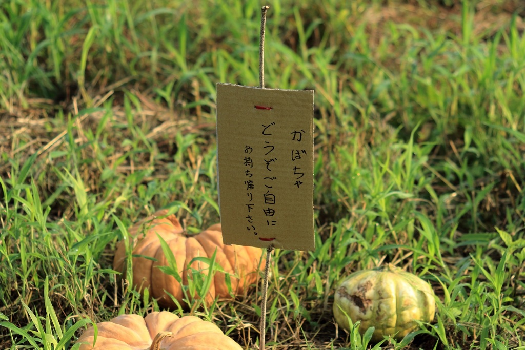 ごちそうさま