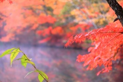 雲場池①