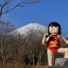 富士金太郎