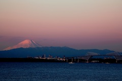 東京湾から望む