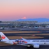 今日の主役は、