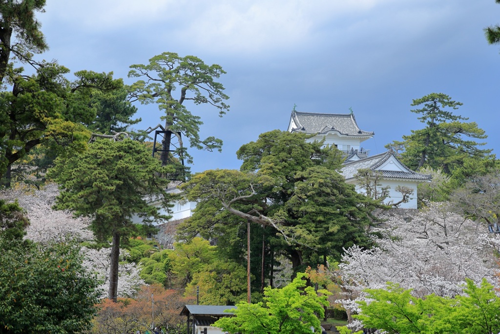 小田原城で