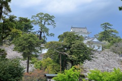 小田原城で