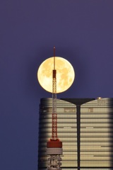 狼月の夜明け②