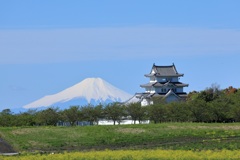今日はくっきり、はっきりと ①