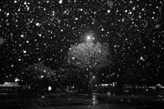 雪玉
