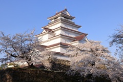 春の鶴ヶ城
