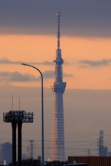 朝日にてらされて