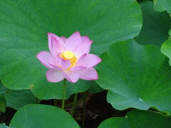 DSC00325