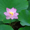 DSC00325