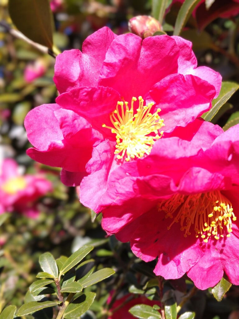 朝日を浴びる！