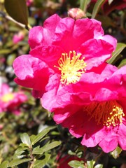 朝日を浴びる！