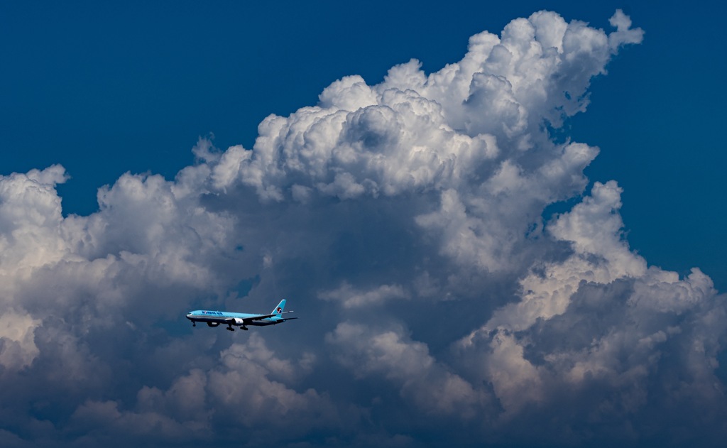 夏の空港