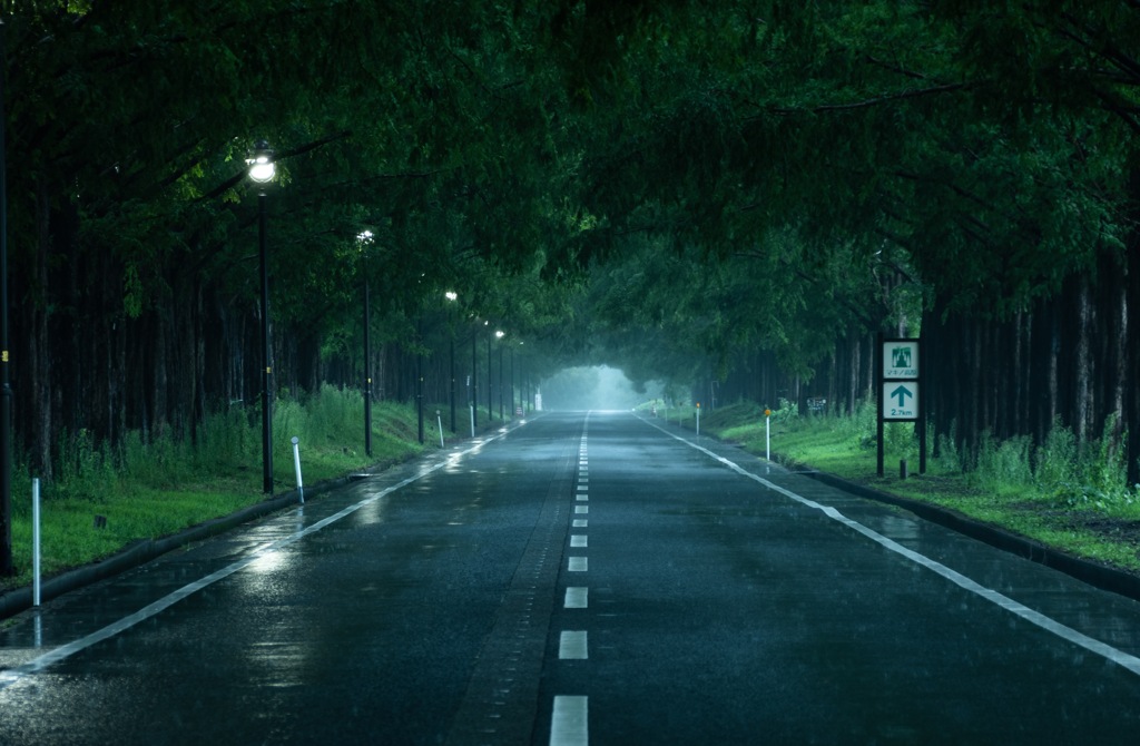村山雨景　メタセコイア並木　染色 雨のメタセコイア並木 | いま、ここ、じぶん！