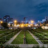 中之島の静かな夜