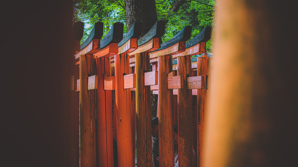 鳥居の隙間