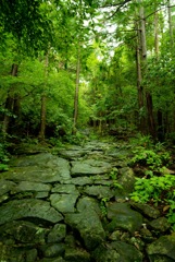熊野古道