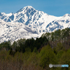 残雪の五竜岳