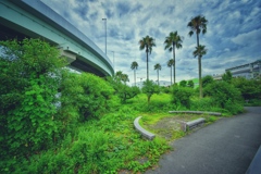 堺大浜公園にて