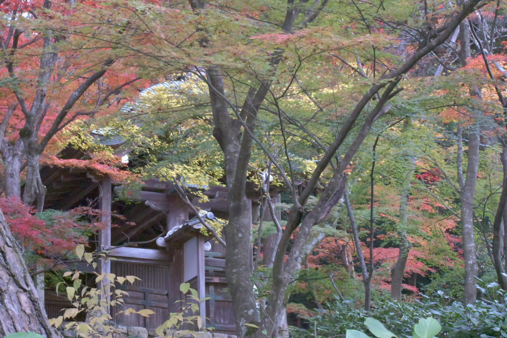 有馬温泉⑤