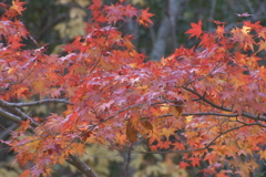 有馬温泉にて①