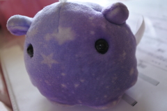 めんだこちゃん＾＾